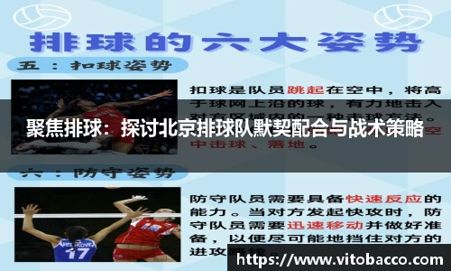 聚焦排球：探讨北京排球队默契配合与战术策略